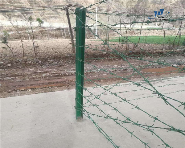 铁蒺藜护栏网用途:农场,畜牧场围栏,园林防护高速公路,监狱,矿区等